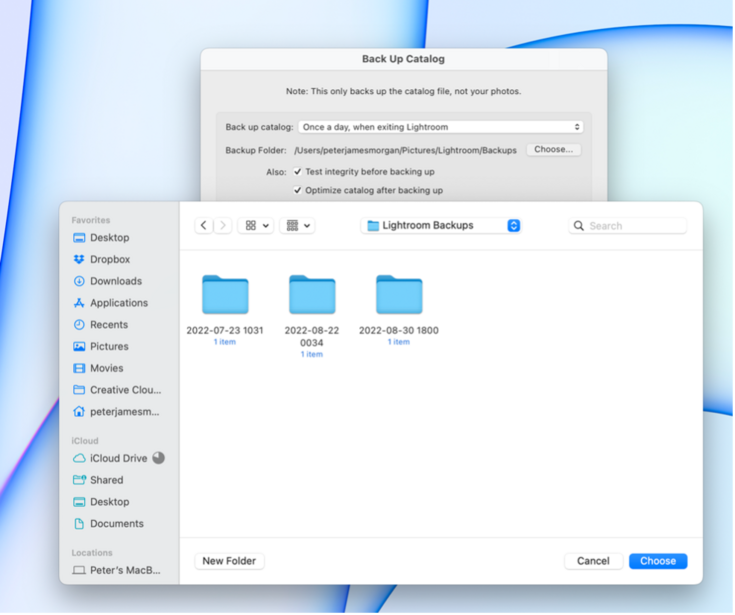Screenshot of Lightroom Backups folder dialog showing backup file organization interface.
