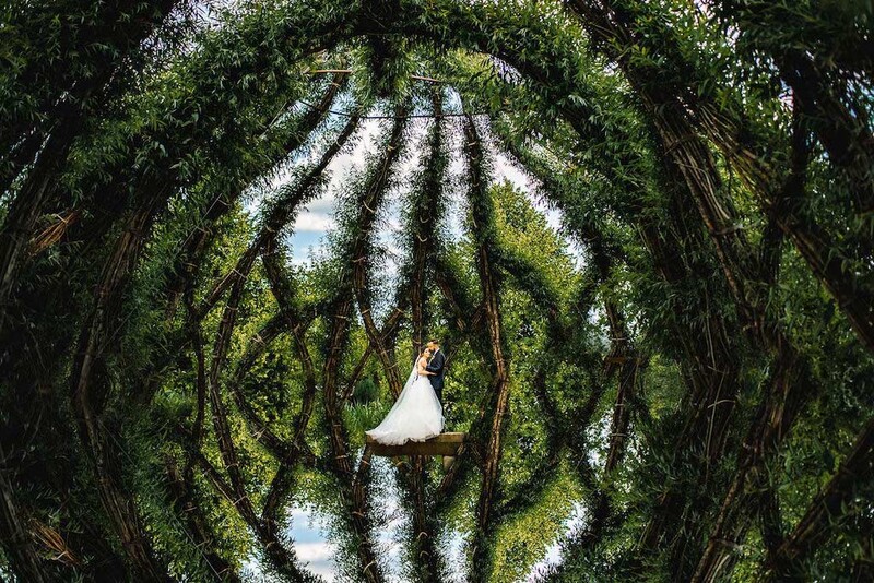 Bride in white dress centered beneath a natural archway of intertwined tree branches, shot from below looking upward.