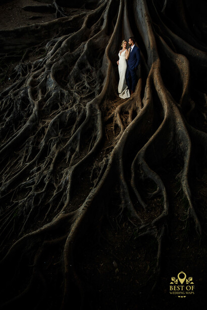 Bride and groom standing together beneath massive, gnarled tree roots in dramatic aerial photography.