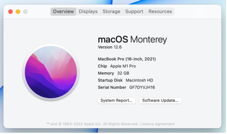 Screenshot of macOS Monterey system information window showing version 12.6 on a MacBook Pro.