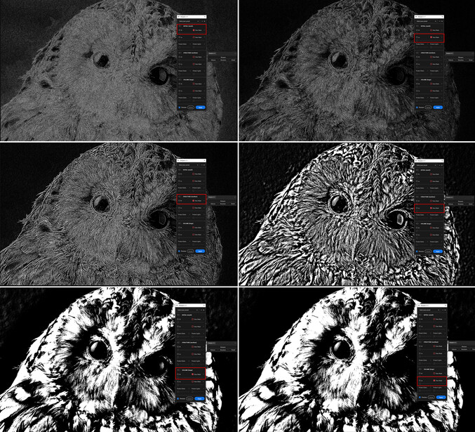 Six-panel progression showing post-processing techniques applied to an owl portrait, from original to heavily stylized high-contrast version.
