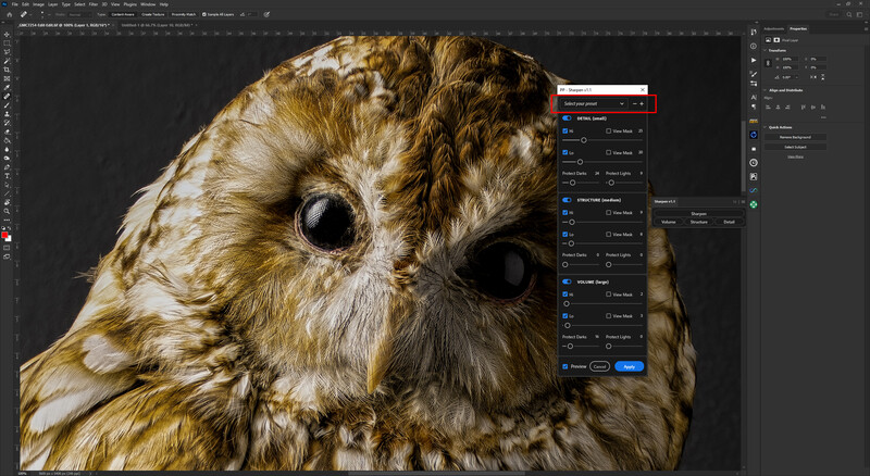 Close-up portrait of a tawny owl's head against a dark background, showing detailed feather texture and large dark eyes.