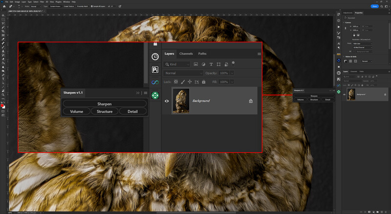 Screenshot of photo editing software with a lion image selected, showing adjustment panels and masking tools.
