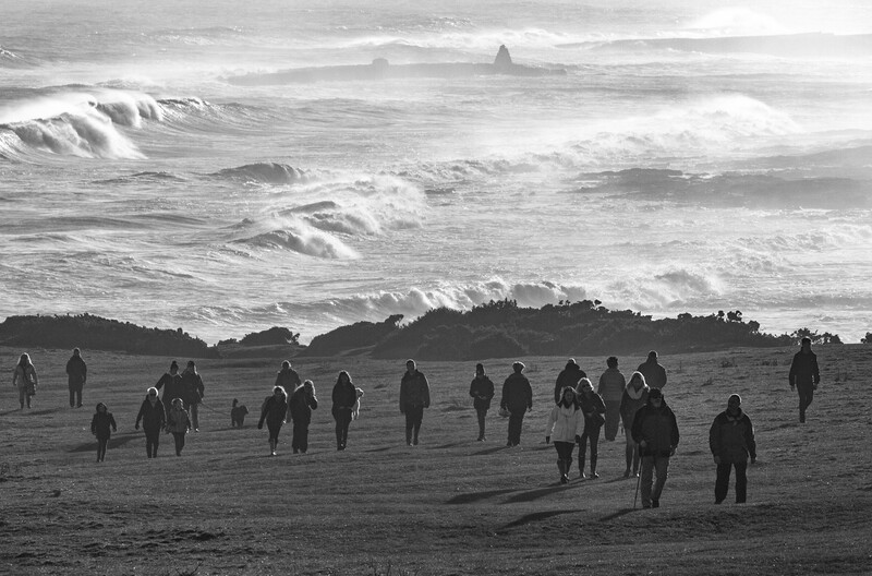 Silhouetted figures standing on a beach facing large, crashing ocean waves in black and white.
