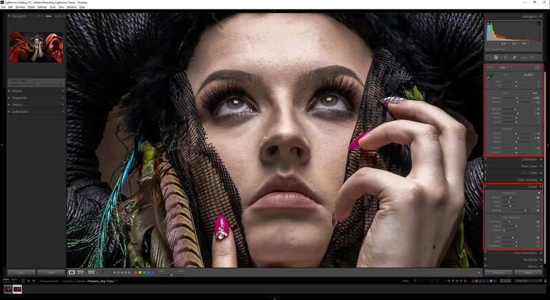 Screenshot of professional photo editing software displaying a portrait of a woman with dramatic makeup and colorful feather accessories.