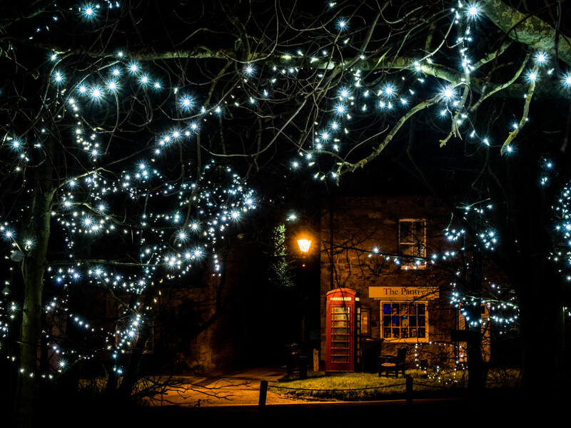 Residential house illuminated by thousands of cool white string lights draped across surrounding trees at night.