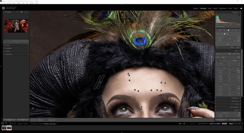 Woman with dramatic black hair and peacock feather headdress, forehead adorned with decorative marks.