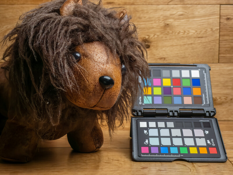 Brown dachshund with long shaggy coat next to open color reference charts on wooden floor.