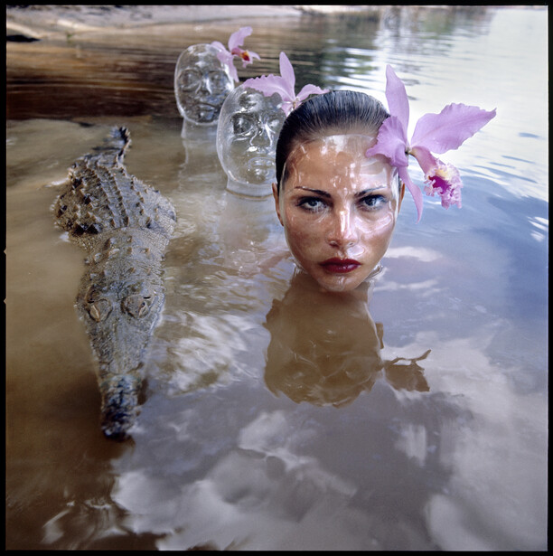 Woman submerged in shallow water with crocodile, purple flowers, and glass vessels arranged around her.