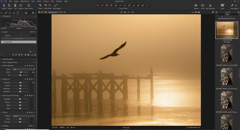 Bird silhouette flying above a wooden pier structure in golden sunrise light with fog.