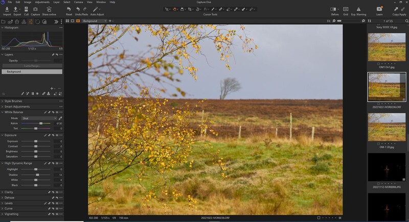 Screenshot of photo editing software displaying an autumn landscape with golden foliage and field.
