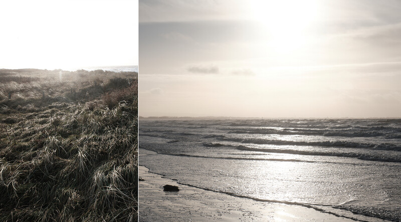 Diptych comparing overgrown grassland on the left with a moody seascape on the right, both backlit by bright overcast skies.