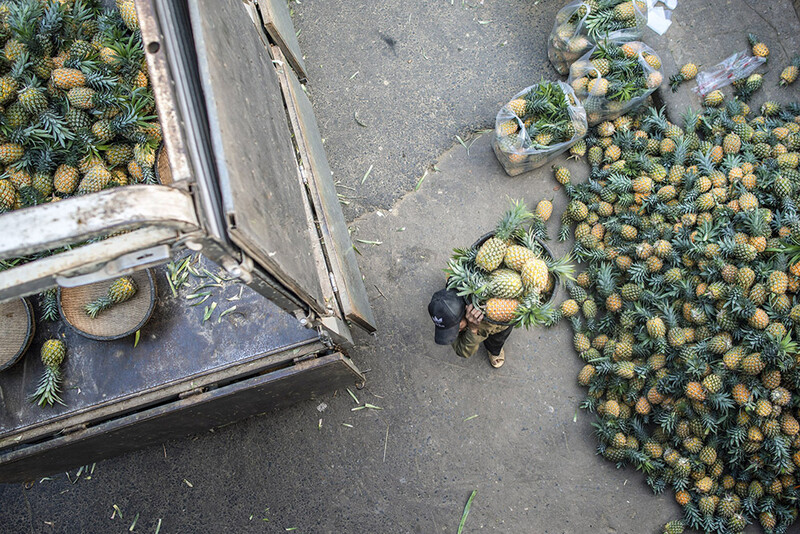Overhead view of pineapples scattered on pavement beside a truck bed loaded with produce.