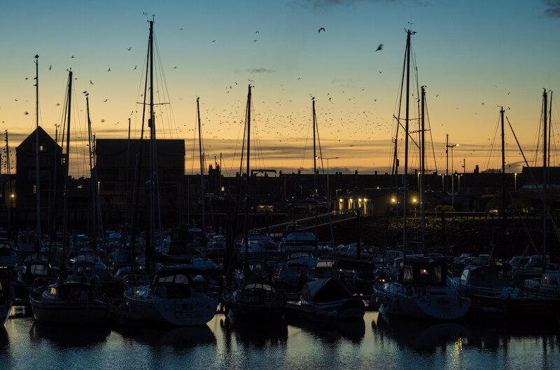 Sailboats moored in a marina at dusk with golden sky and silhouetted masts.
