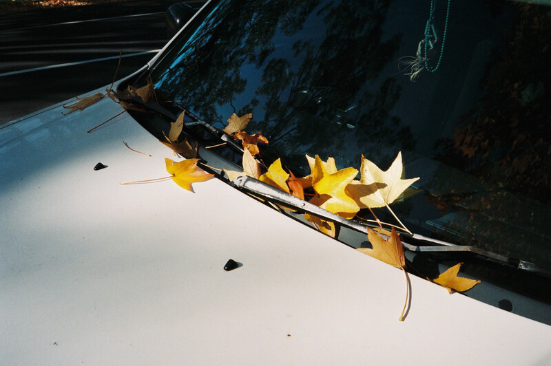 Yellow autumn leaves arranged on a dark car hood with natural sunlight creating strong shadows.