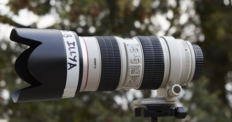 How Good Is The 2001 Canon EF 70-200mm f/2.8 IS Lens in 2023