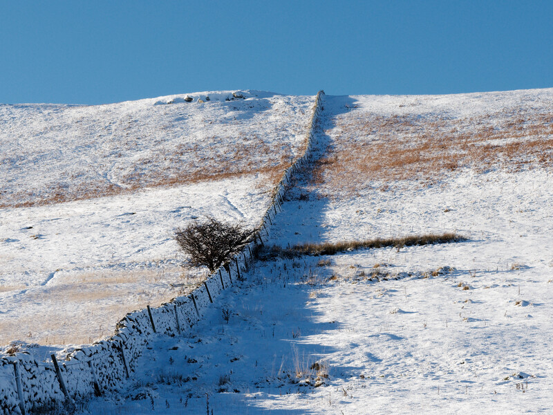 Snow-covered hillside divided by a fence line and stream running down the slope.