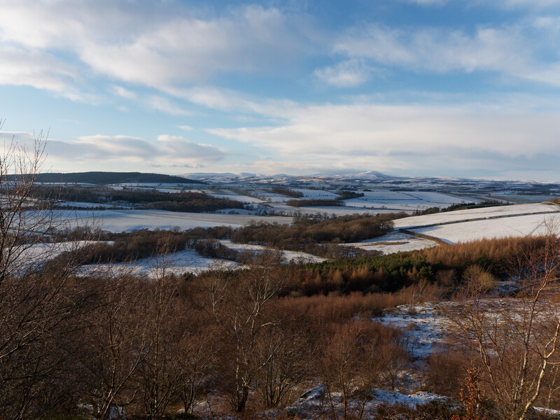 Winter landscape with snow-patched fields, bare birch trees, and distant forested hills under partly cloudy sky.