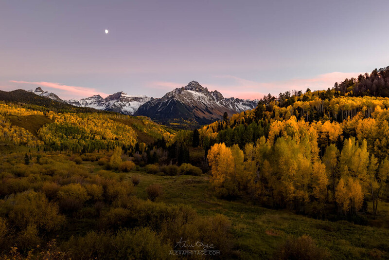 Golden larch trees fill a mountain valley at dusk, with snow-capped peaks and a moon visible in the twilight sky.