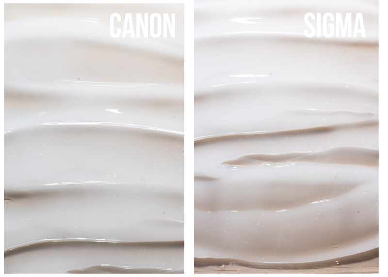 Canon vs Sigma Macro shoot off by Michelle VanTine