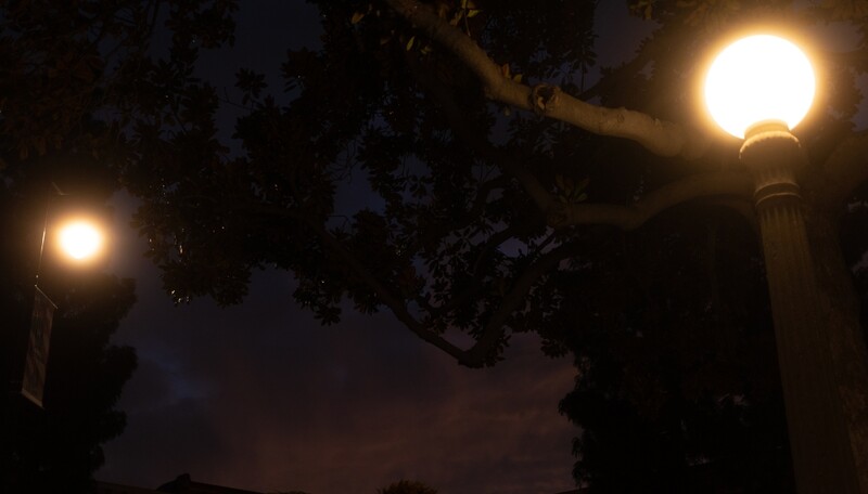 Two warm street lamps glowing against twilight sky with silhouetted tree branches overhead.