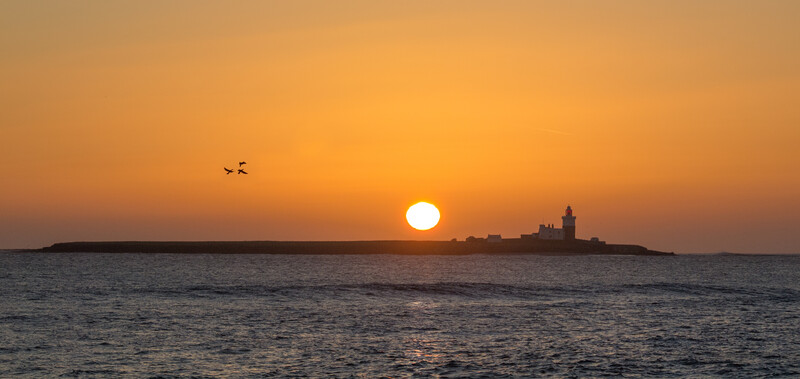Sun setting over ocean with silhouetted lighthouse on distant island and birds in flight.