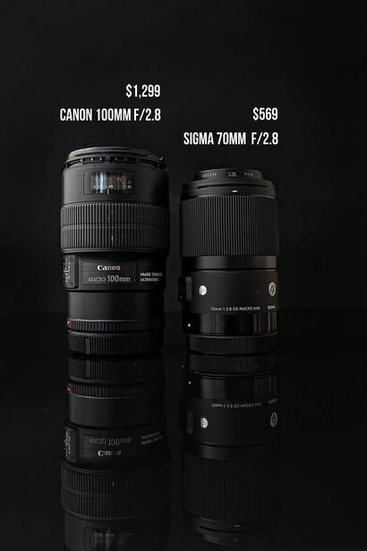 Canon vs Sigma Macro shoot off by Michelle VanTine