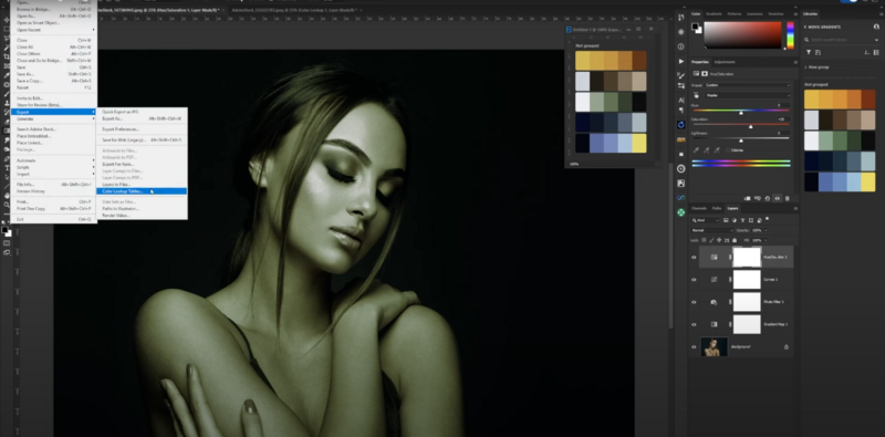 Screenshot of photo editing software displaying a portrait of a woman with a black background.