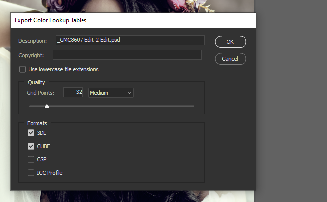 Screenshot of Export Color Lookup Tables dialog box showing export settings and format options.