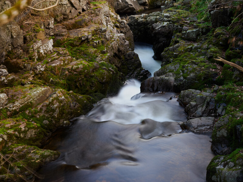 Flowing stream with long exposure blur cascading over moss-covered rocks surrounded by lush green vegetation.