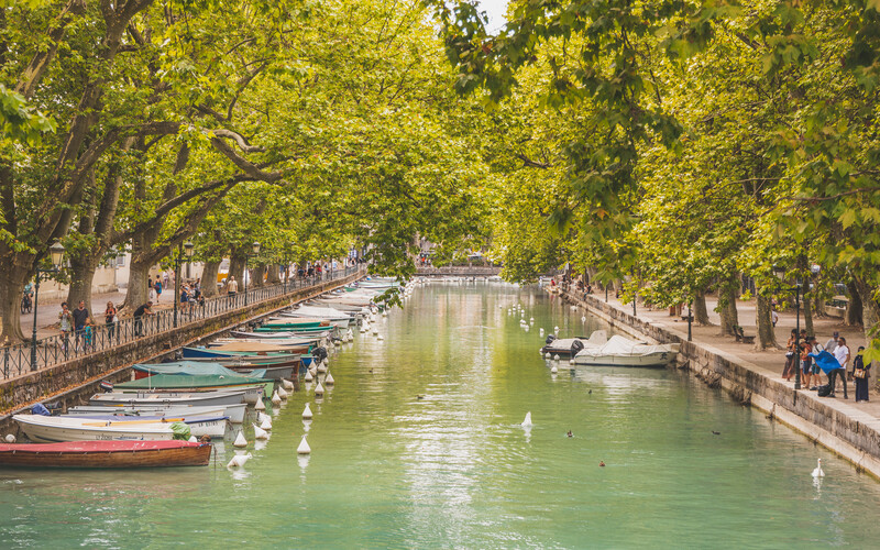 Tree-lined canal with moored boats and reflections in still green water on a sunny day.