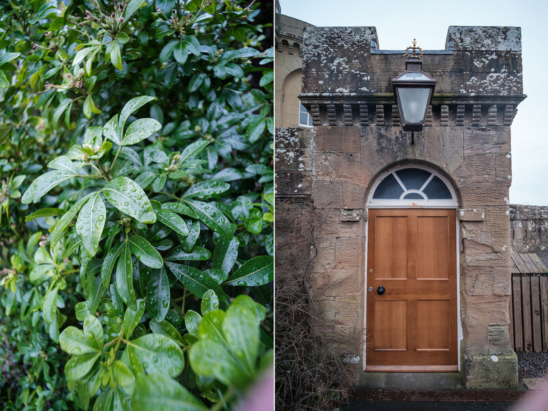 Split composition showing lush green foliage on the left and a brick building entrance with wooden door on the right.
