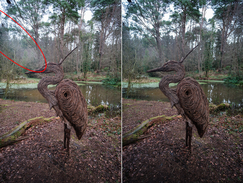 Side-by-side comparison showing a twisted vine sculpture with enhanced saturation and color correction applied in post-processing.