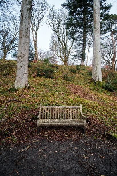 Wooden bench facing uphill through bare trees and evergreens on a leaf-covered forest floor.