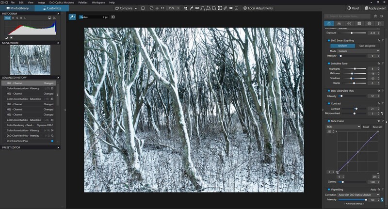 Screenshot of Adobe Lightroom Classic displaying a high-contrast black and white forest photograph with editing panels visible.