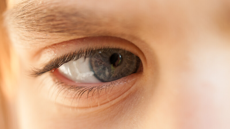 Close-up of a child's gray eye with dark lashes, shot with shallow depth of field and warm, soft lighting.