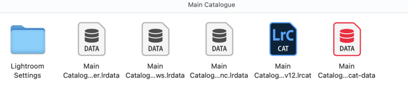 Screenshot of Lightroom's Main Catalogue folder structure showing five database files and settings folder.