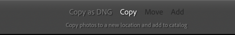 Screenshot of file management options showing Copy as DNG, Copy, Move, and Add buttons with descriptive text.
