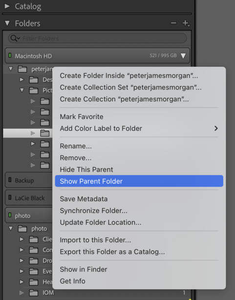 Screenshot of folder context menu in digital asset management software showing organizational options.