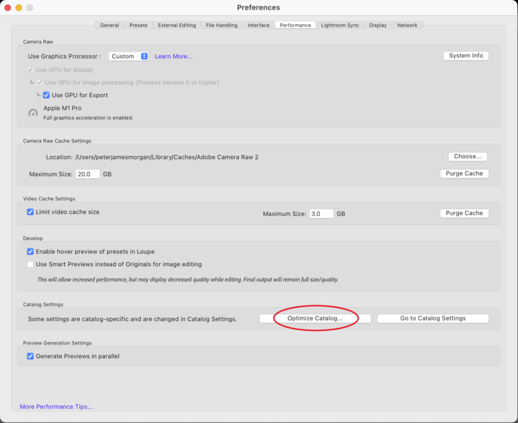 Screenshot of graphics preferences panel with Rendering Caching option highlighted in red circle.