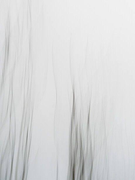 Minimalist abstract photograph of blurred vertical lines in grayscale tones.