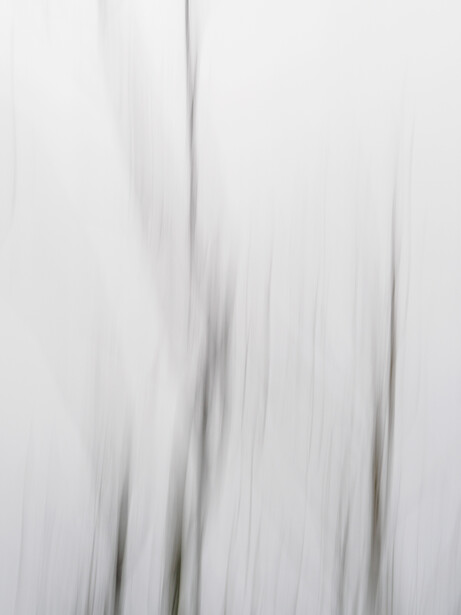 Vertical motion blur of grass or grain stalks with soft, neutral tones.