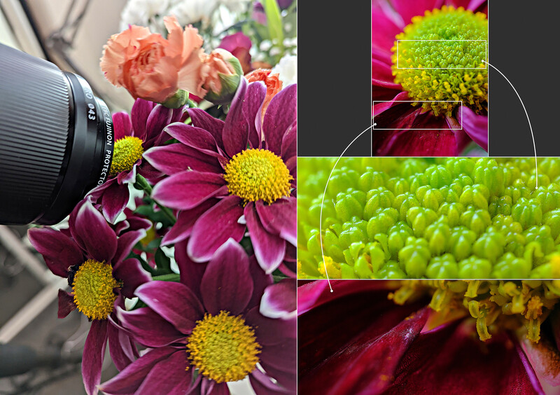 Close-up macro photography of chrysanthemum flowers with vibrant magenta petals and yellow centers.