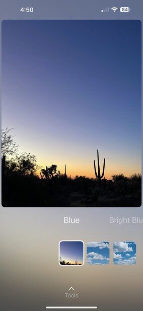 Desert sunset with saguaro cactus silhouetted against gradient sky, demonstrating color grading options in photo editing interface.