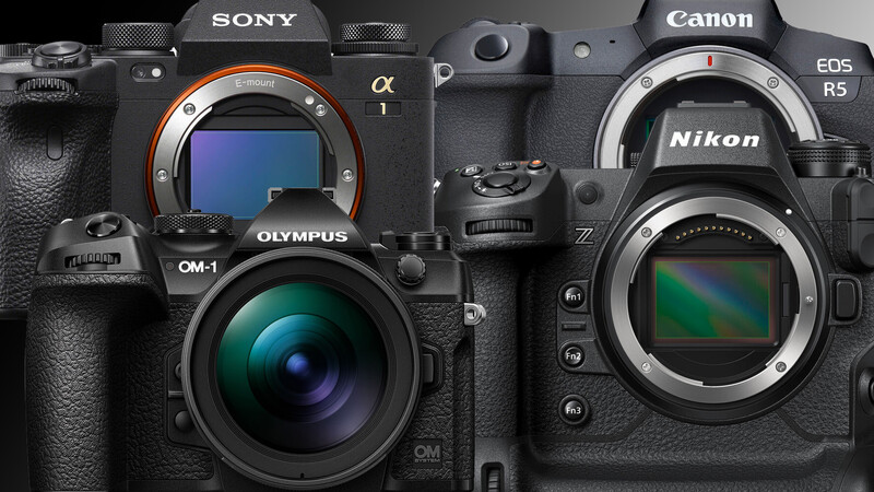 Comparison of four professional mirrorless camera bodies displaying their sensor mounts and viewfinders.
