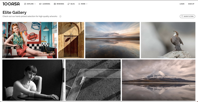 Screenshot of Fstoppers Elite Gallery featuring a grid of nine curated photographs including portraits, landscapes, and wildlife imagery.