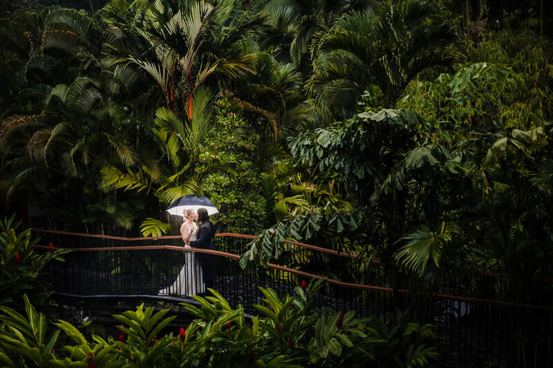 Person standing on a metal railing in dense tropical foliage, holding an umbrella.