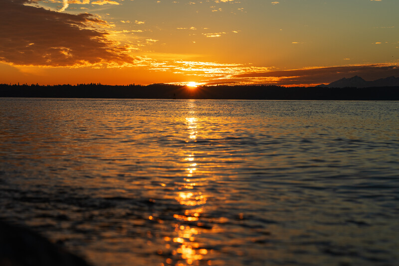 Golden sunset reflecting across calm water with silhouetted treeline on horizon.