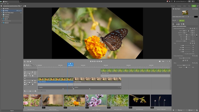 Screenshot of video editing software showing a butterfly on a yellow flower during timeline editing.