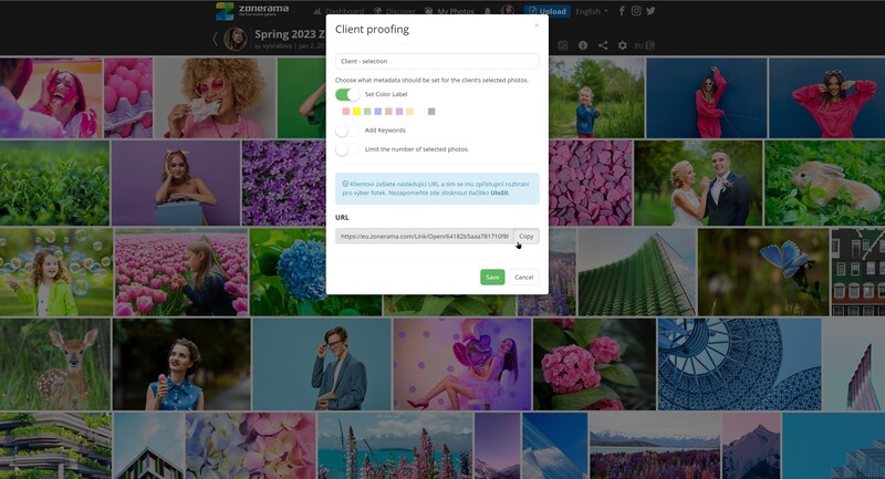 Screenshot of a client profiling dialog box overlaying a photography portfolio grid.
